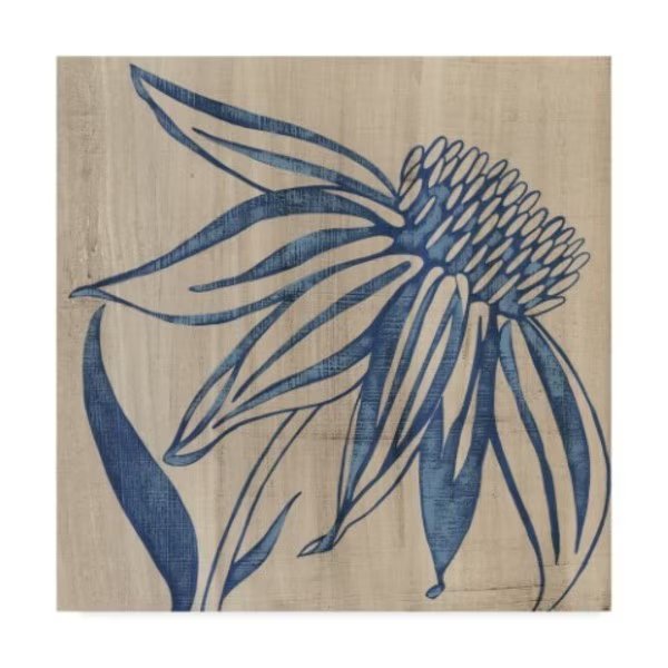 Chariklia Zarris 'Indigo Coneflower' Canvas Art, 35x35, Trademark Fine Art, Mfr#: WAG03881-C3535GG